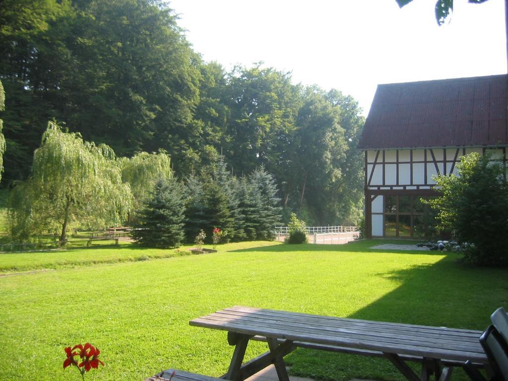 Landhotel & Restaurant Gutsherrn-Klause Dankerode  Kültér fotó